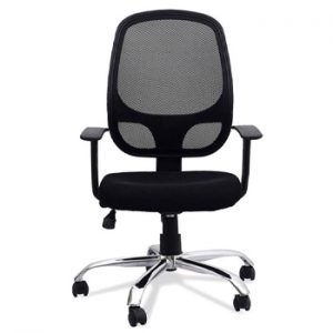 Stone Medium Back Chair