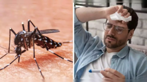 Let’s learn how to prevent from chikungunya | Dr. Avinash Deore