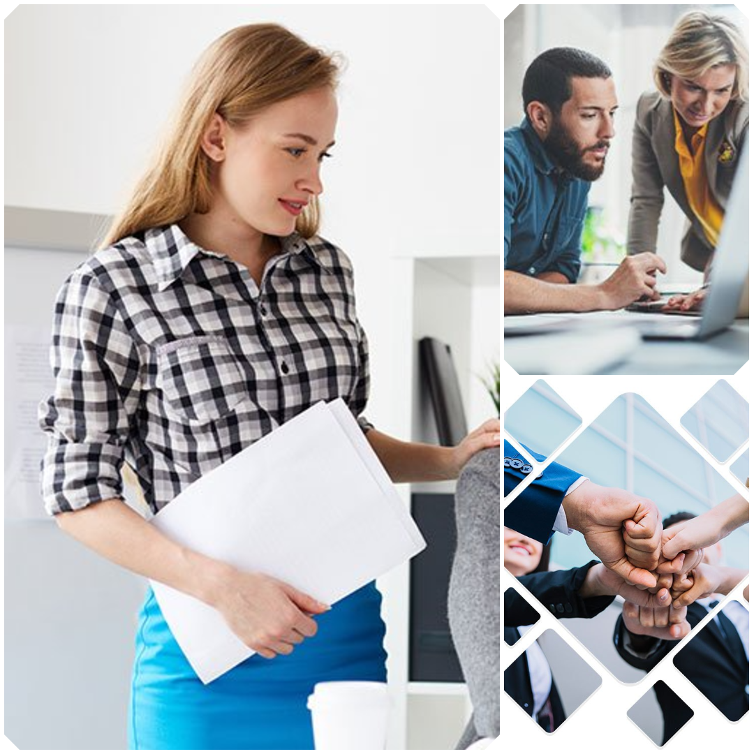 CY Global Business Consulting Team